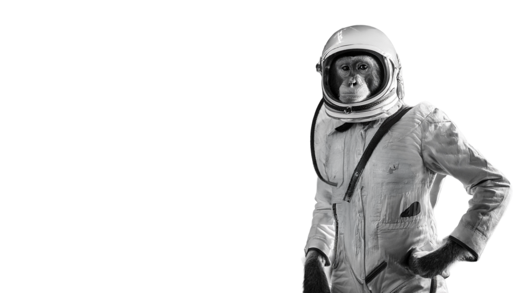 The Starship Monkey 1 Full Width